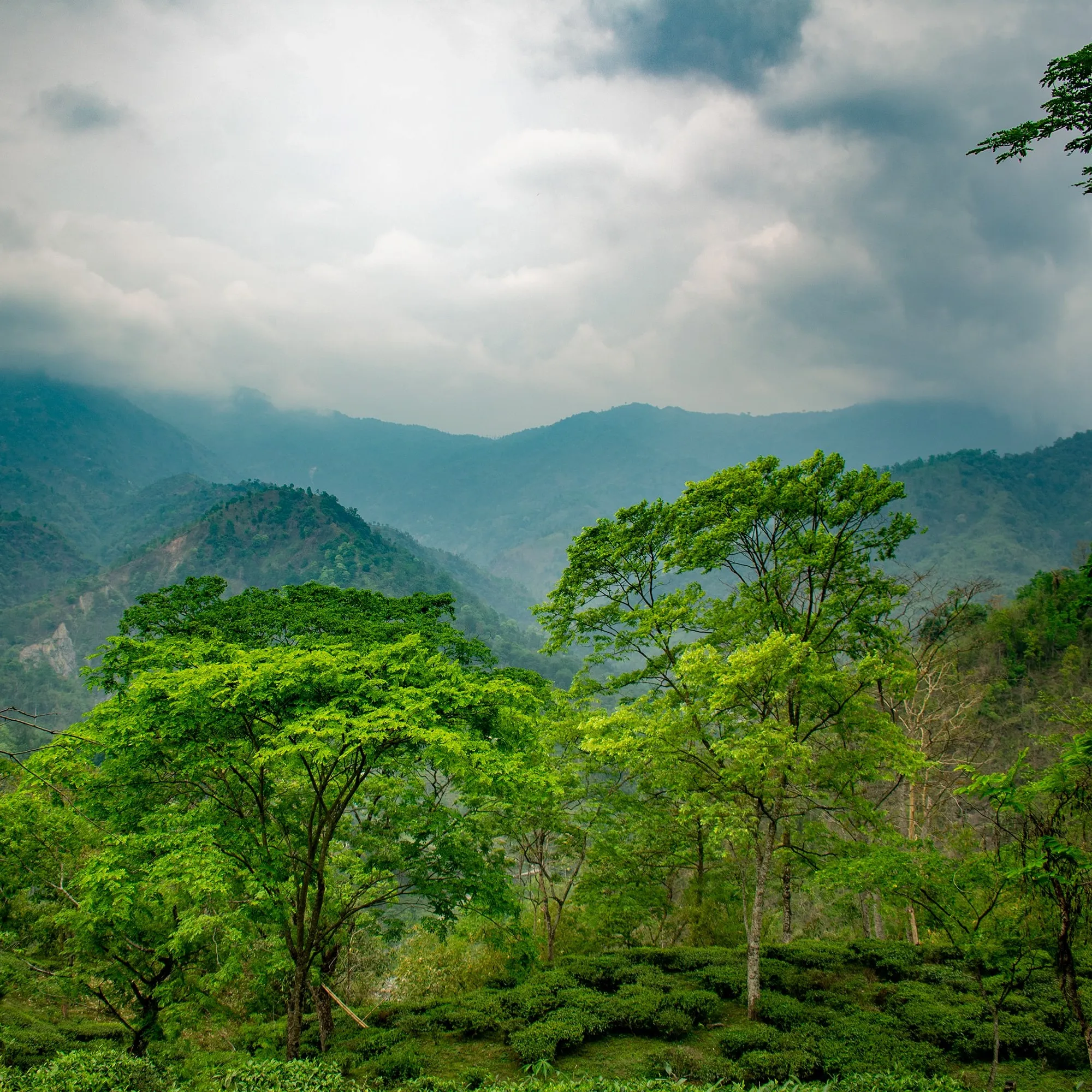 boudhayan-bardhan-iTDJEJhNXAE-unsplash