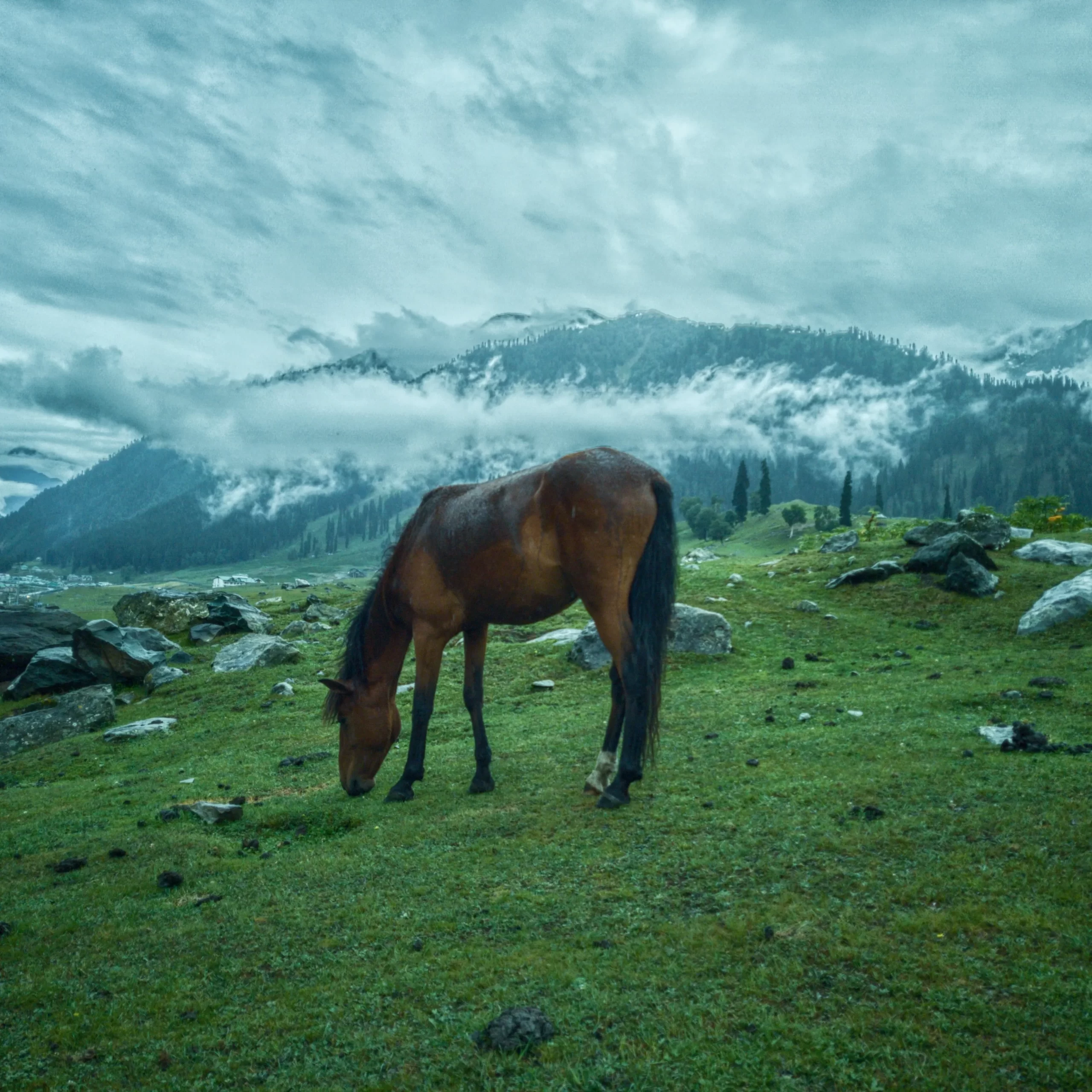 Jammu and Kashmir Tour Packages, ITO