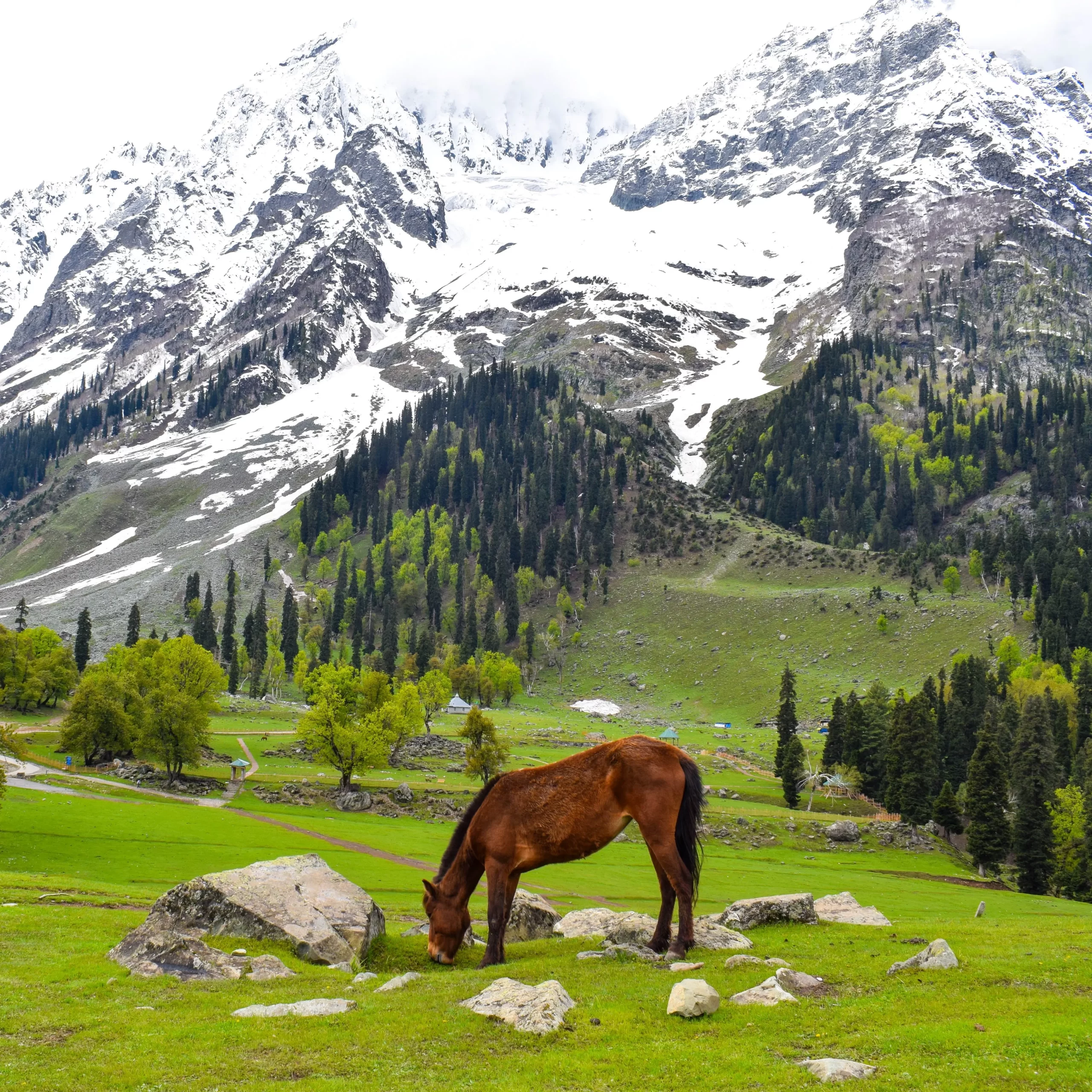 Jammu and Kashmir Tour Packages, ITO