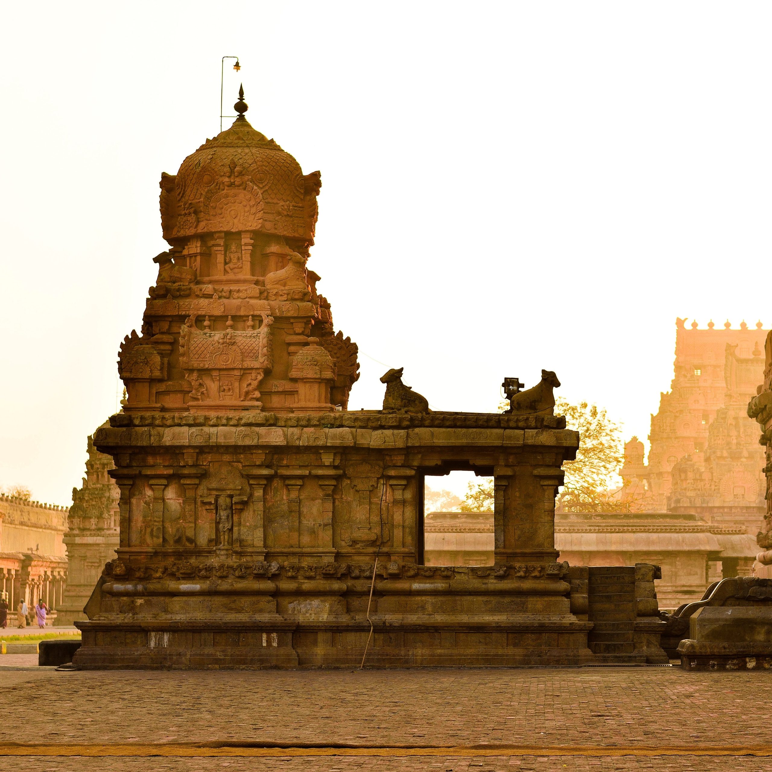 Pilgrimage Tour Packages