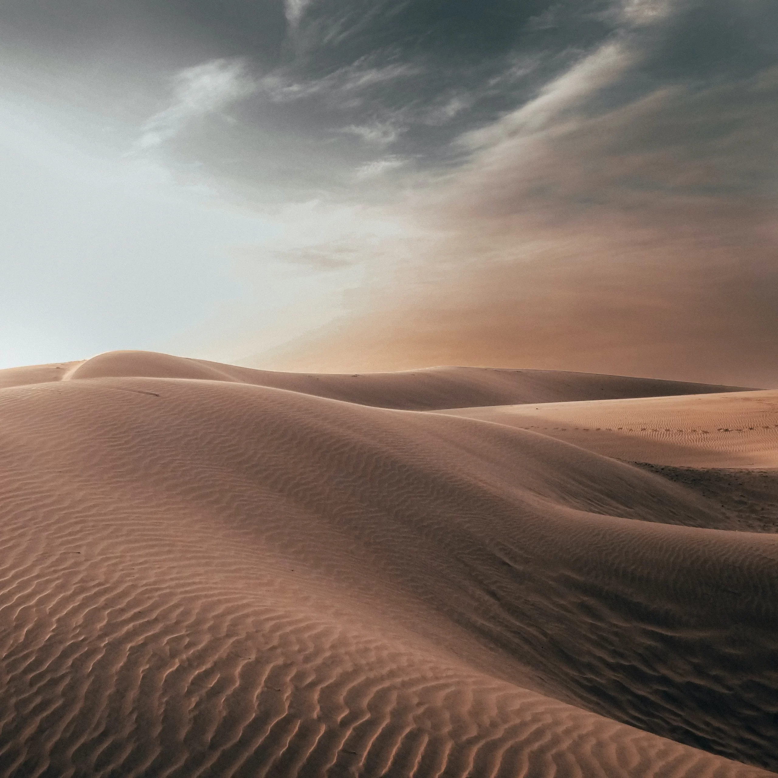 sharad-bhat-mZDOfgiQeE4-unsplash
